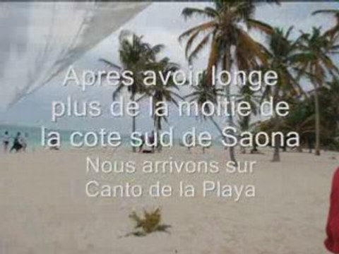 Canto VIP (catamaran) et Eco-T (Dauphins)