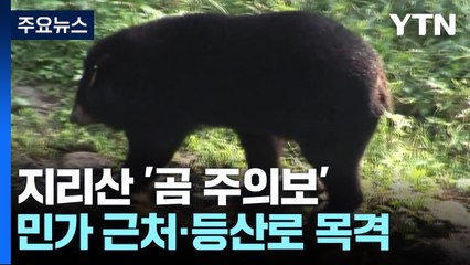 지리산 반달가슴곰 출몰 및 농장 공격 위험 경보 🚨
