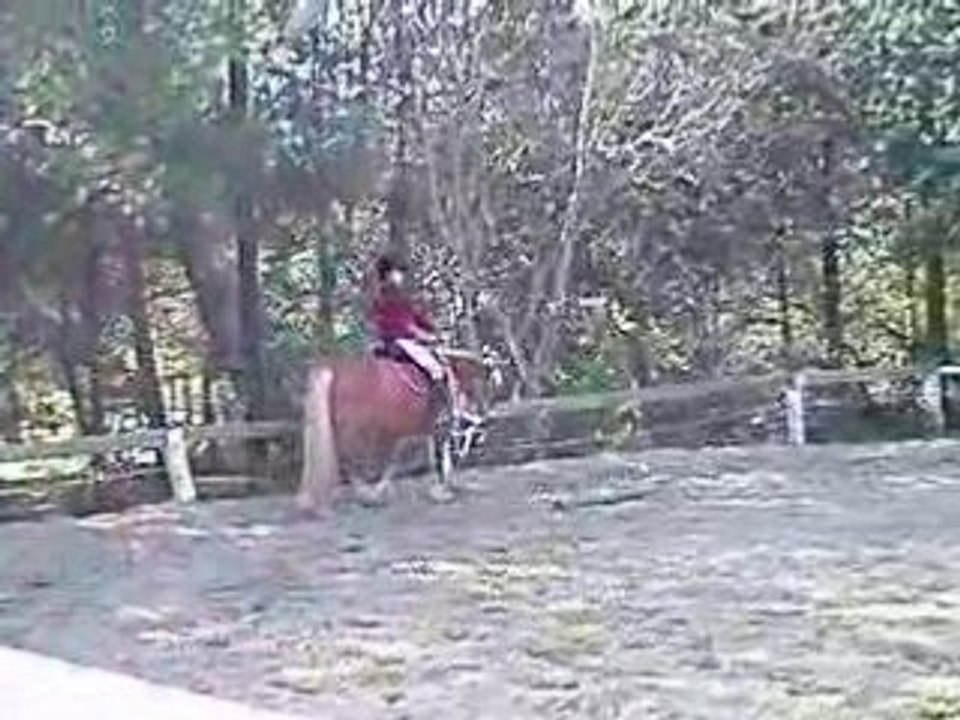 13 04 08 064