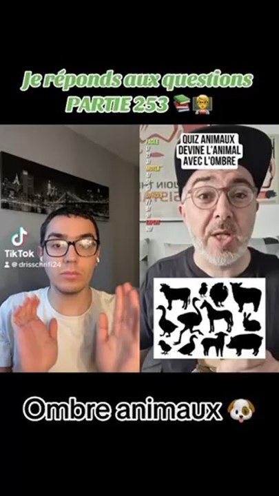 Je réponds aux questions PARTIE 253 (ombre animaux) ‍