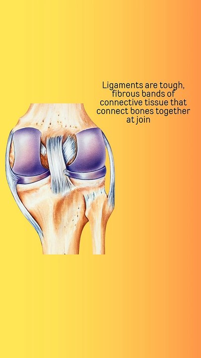 Ligaments complete information in hindi | ligaments major type of injuries and its treatment