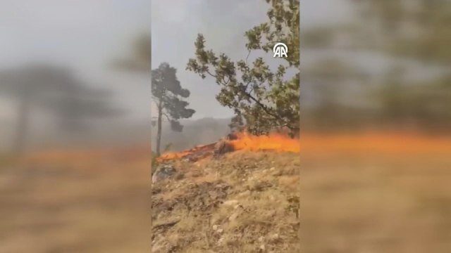 Mersin'de çıkan orman yangınına müdahale ediliyor