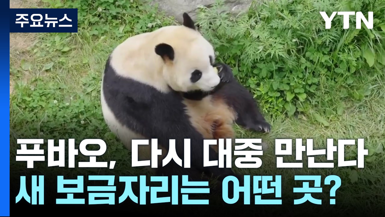 오늘 만나러 갑니다...푸바오 새 보금자리 어떤 곳? / YTN