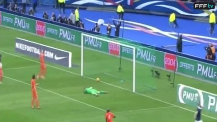 Benzema superbe but ! (France - Pays-Bas 2014)
