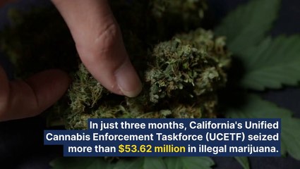 Fewer Than Half Of L.A. County's 1,481 Cannabis Shops Are Legal, Illicit Operators Reopen Within Weeks Of Being Closed Down