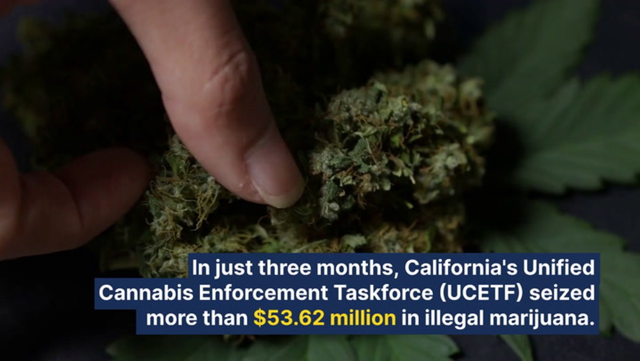 Fewer Than Half Of L.A. County's 1,481 Cannabis Shops Are Legal, Illicit Operators Reopen Within Weeks Of Being Closed Down