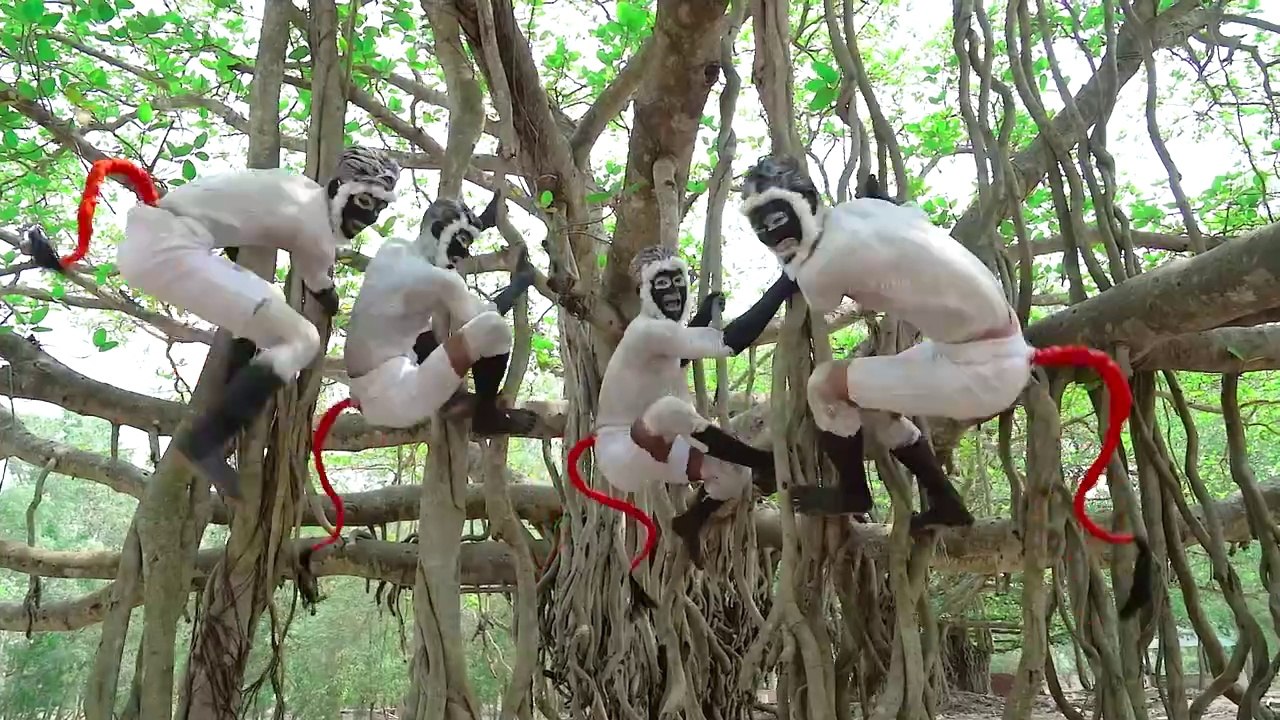 Monkey Special  Trending Funny Comedy Video