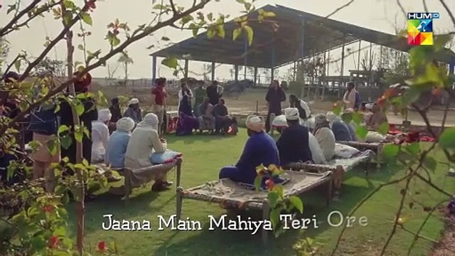 Zard Patton Ka Bunn OST [ Teri Arzoo ] - Singer_ Zaw Ali & Sohail Shehzad - HUM TV