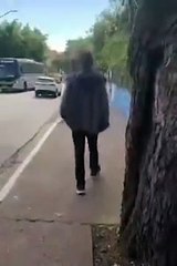 VÍDEO moradores relatam ataques de cavalo solto em rua do Jaraguá, na Zona Norte de SP