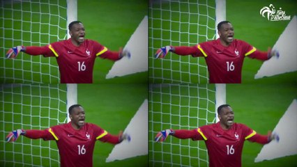 Gros plan sur Steve Mandanda