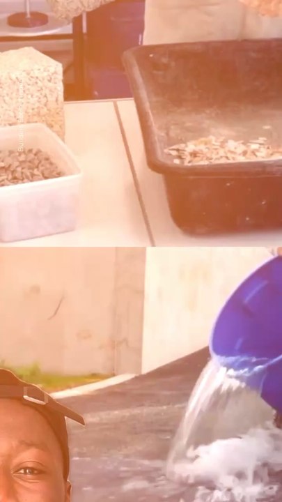 Abonne-toi pour suivre d’autres solutions positives !     @theimpactstory   Source : Builders École d’ingénieurs  #innovation #inventions #pave #coquillage #innondation #environnement