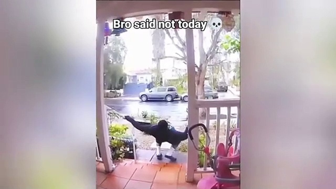 Funny videos