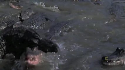 Décalage immédiat épisode 4 bain froid et turbulences en avion...