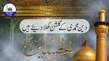 syed ne karbala main waday nibha diye hain