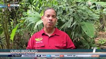 Cuestionan declaraciones del ministro Sabonge sobre proyecto Corredor del Caribe