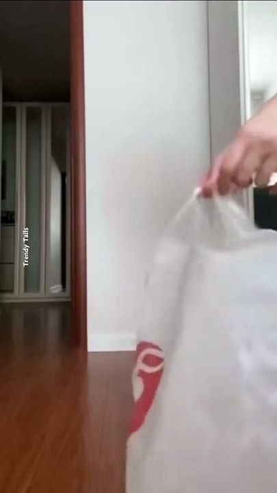 #cat #cats #catshorts #catvideos #catlover #catlovers #catsofinstagram #catsoftiktok Cute Cat