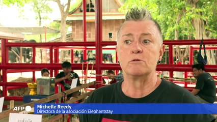 Inusual nacimiento de elefantes gemelos en Tailandia