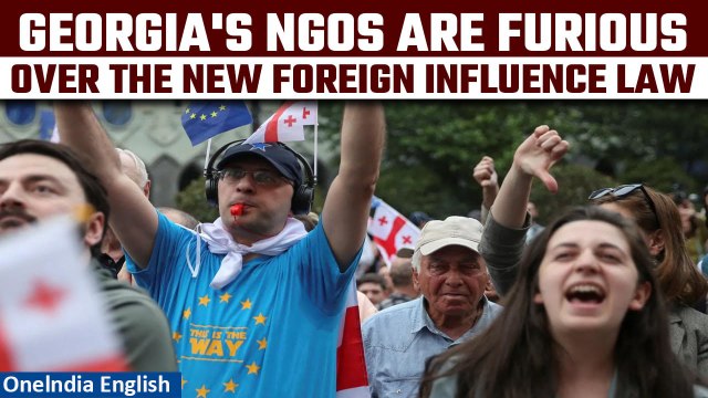NGOs in Georgia Fear Future Amid Controversial Foreign Interference Law, Dubbed the Russian Law