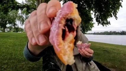 Tim Hortons Wild Berry Cheesecake Doughnut Review