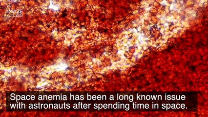 The Impact of Being in Space Is Seen in the Brains of Astronomers