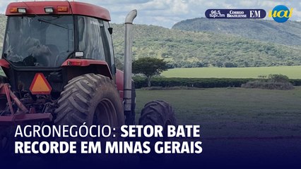 Agronegócio de Minas Gerais bate recorde de crescimento