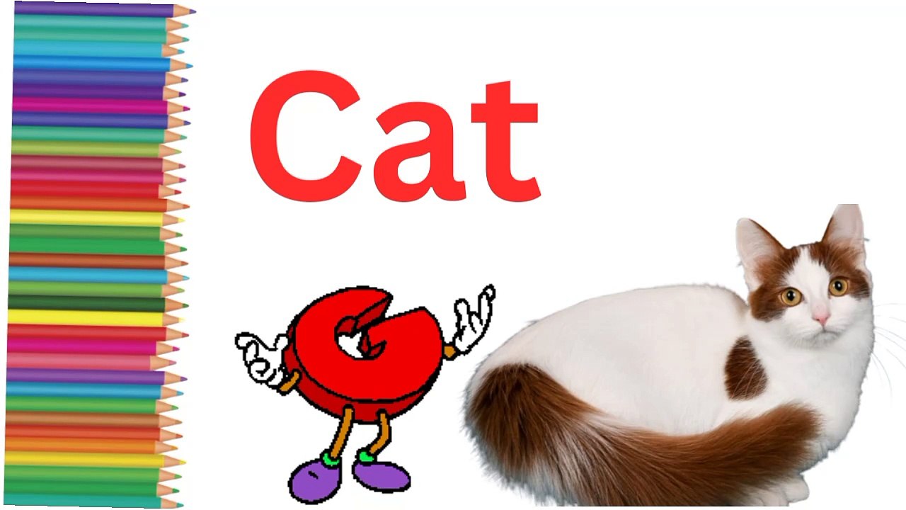 Cat drawing