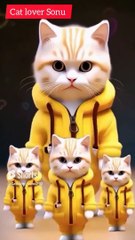 Cat lover Sonu|Cute kitten|funny dance