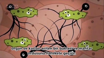 Öldükten Sonra Bedenimiz