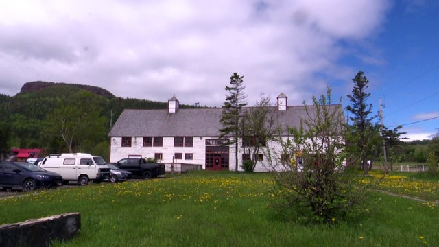 11 juin TOPO MS saison estivale percéides