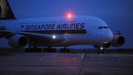 Injured Passengers on Turbulent Singapore Airlines Flight Offered Compensation