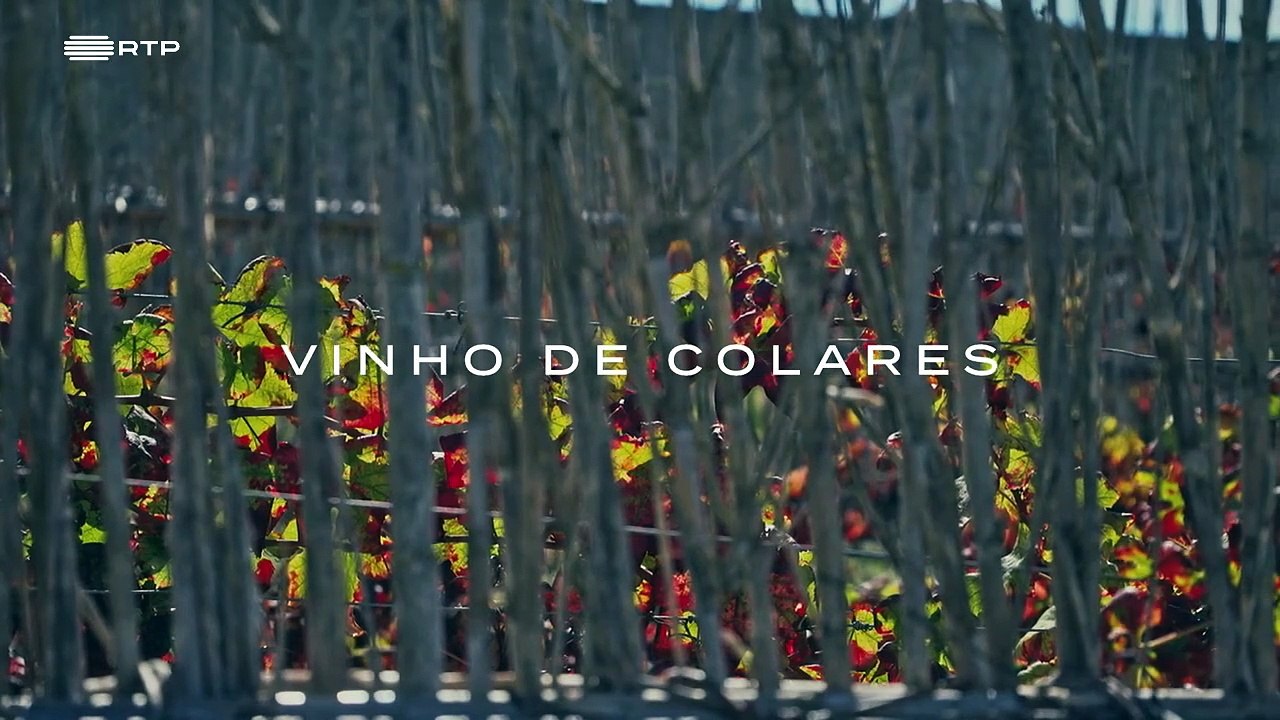 Vinhos com História - Episódio 02-05-Vinho de Colares