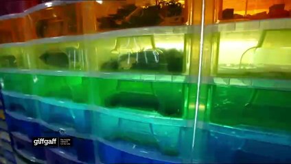 Lego Masters 1° Temporada Trailer Original