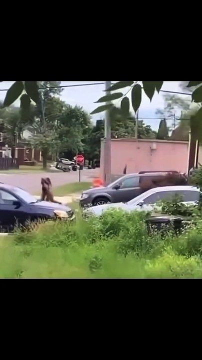 karma instantaneo