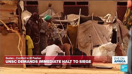 ‘The snipers are everywhere’: Witness recounts violence in Sudan's El Fasher