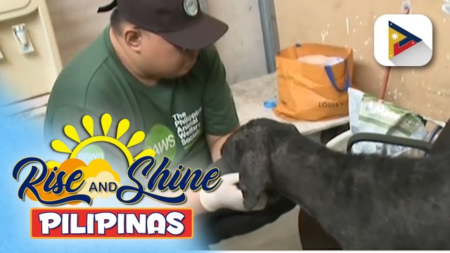 Ilang hayop, nasagip ng PAOCC sa compound sa Porac, Pampanga;