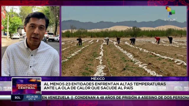 Ola de calor afecta la producción agropecuaria y pesquera en México