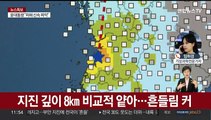 전북 부안 규모 4.8 지진…올해 한반도 최대 규모