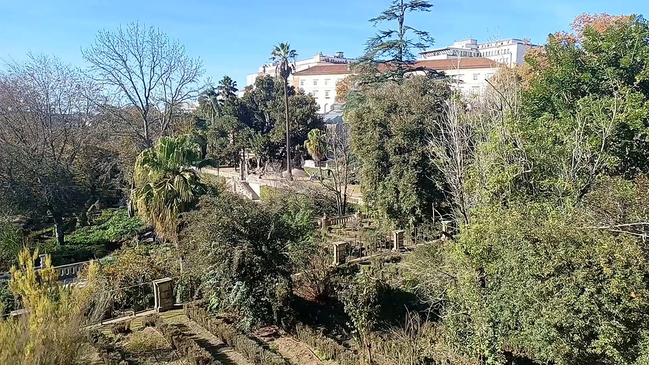 #botanicalgarden in #university of #coimbra #europe #portugal #travel #wanderlust #2023 #vlog #trip