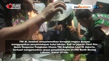 TNI AL GAGALKAN PENYELUNDUPAN 24 RIBU BENIH LOBSTER