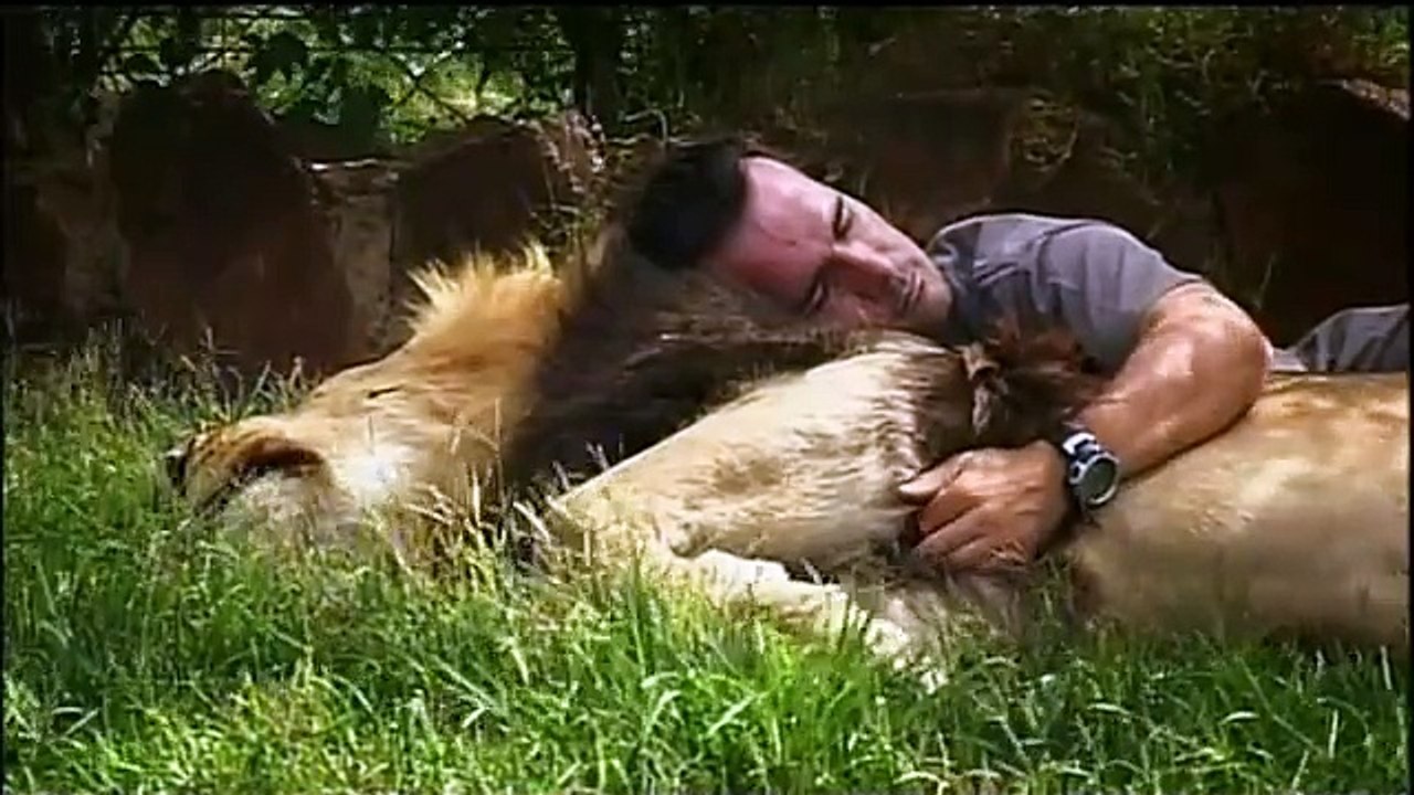 Lions d'Afrique Bande-annonce (EN)