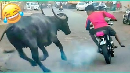 😂 Ultimate Funny Fail Compilation 2024 | Try Not to Laugh Challenge!