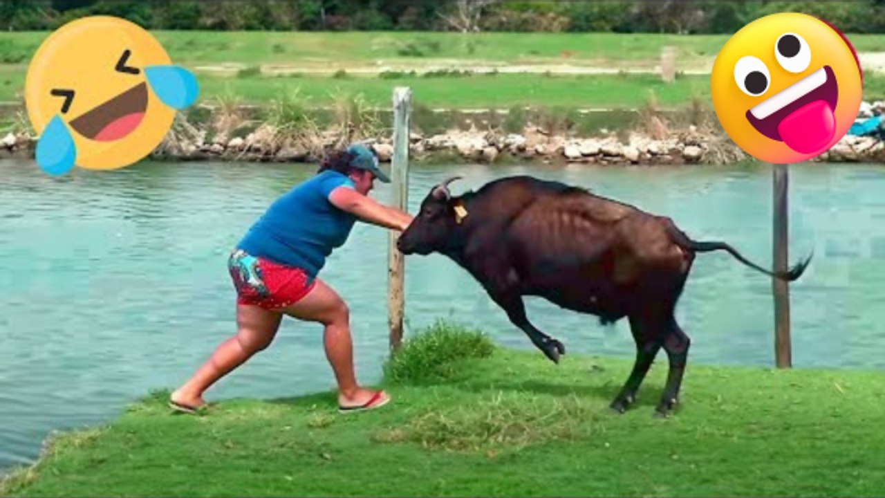 Funny & Hilarious Peoples Life - Fails - Memes - Pranks and Stunts ...