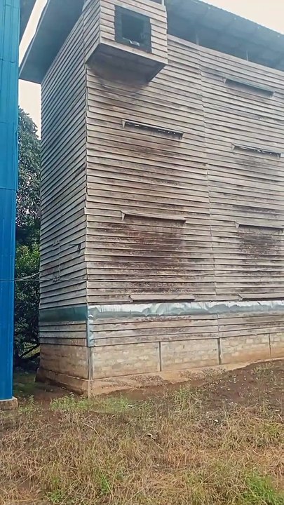 Jalan-jalan sambil lihat rumah walet