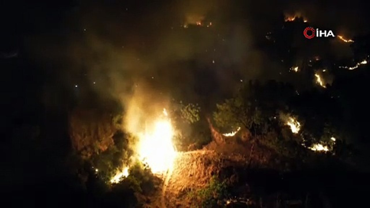 Tire’de çıkan yangında beş dönümlük zeytinlik alan yandı