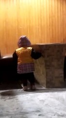 Baby is having fun #shorts #viral #trending #foryou #tiktok #delicious #gaming #reels#dailymotion #France #Pakistan #Algeria #India #USA #Iran #entertainment #tour #fun