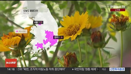 [날씨] 오늘도 불볕더위 계속…남부 곳곳 소나기 소식