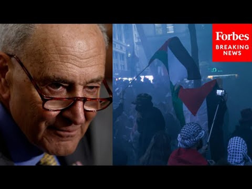 'How Repugnant, How Despicable': Chuck Schumer Slams Protests Outside October 7th Exhibit In NYC