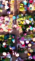 VID-20240611-WA0023