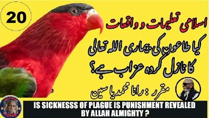 Is sickness of plague is punishment revealed by Allah Almighty.?