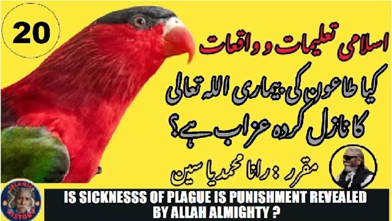 Is sickness of plague is punishment revealed by Allah Almighty.?